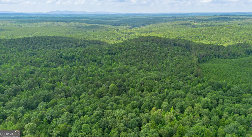 0 Vinyard Lot 3 Fruithurst, AL 36262