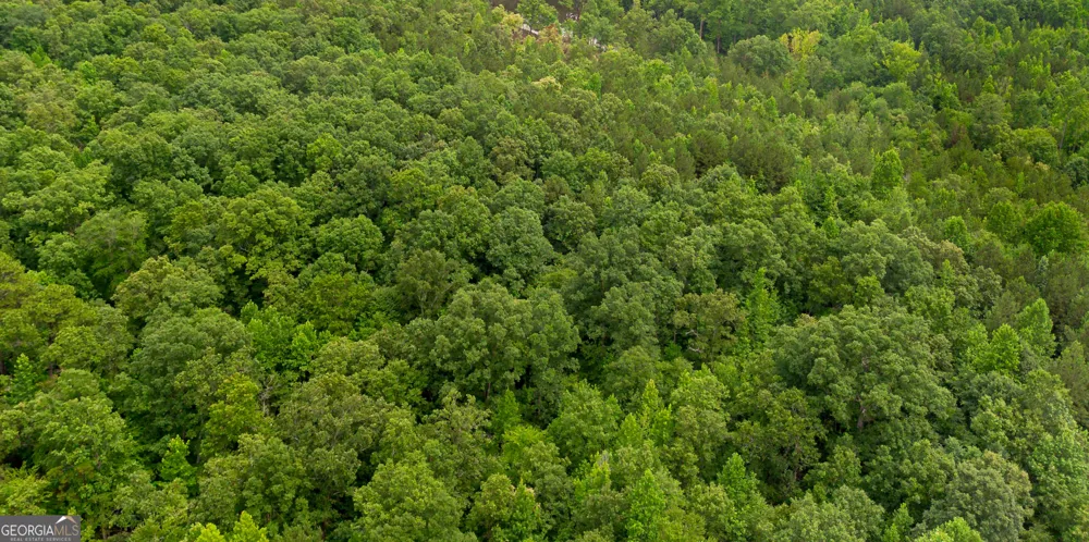 0 Vinyard Lot 3 Fruithurst, AL 36262