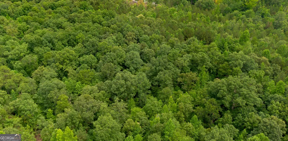 0 Vinyard Lot 3 Fruithurst, AL 36262
