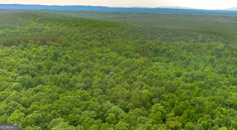 0 Vinyard Lot 3 Fruithurst, AL 36262