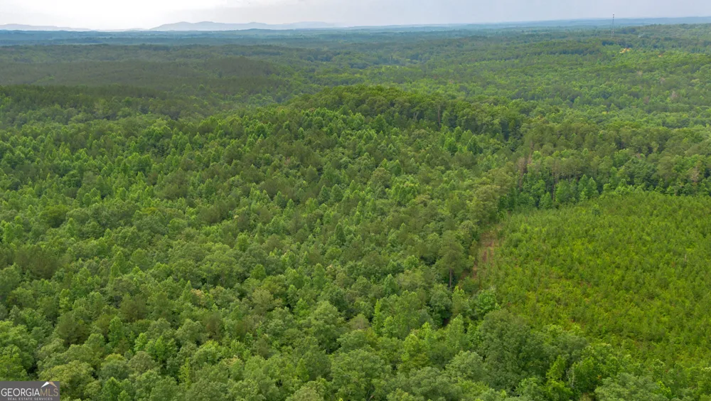 0 Vinyard Lot 3 Fruithurst, AL 36262