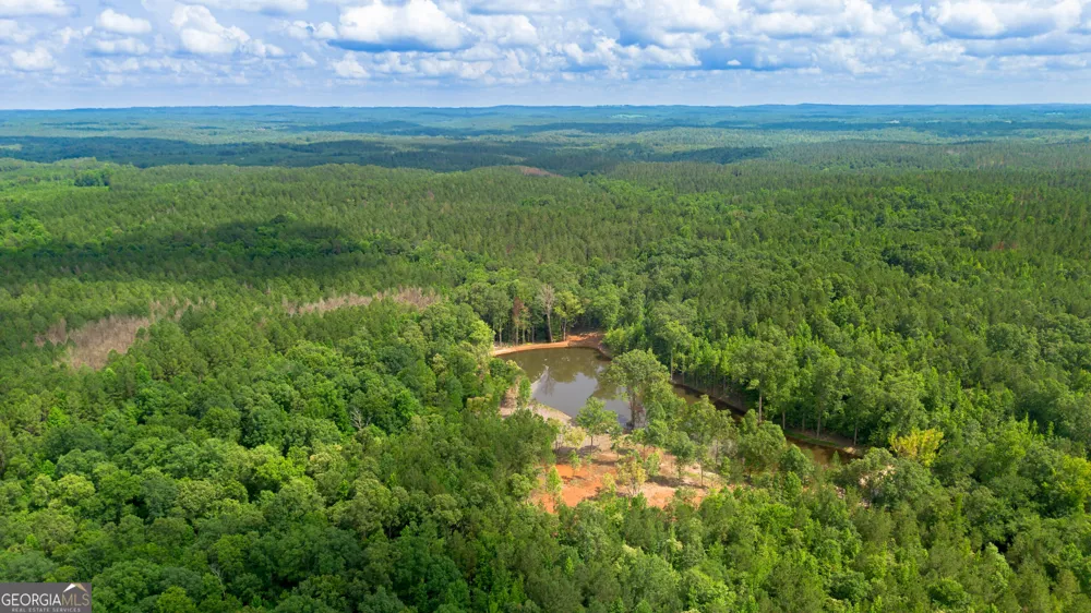 0 Vinyard Lot 1, 2, 4, 5, 6 Fruithurst, AL 36262