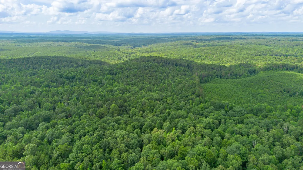 0 Vinyard Lot 1, 2, 4, 5, 6 Fruithurst, AL 36262