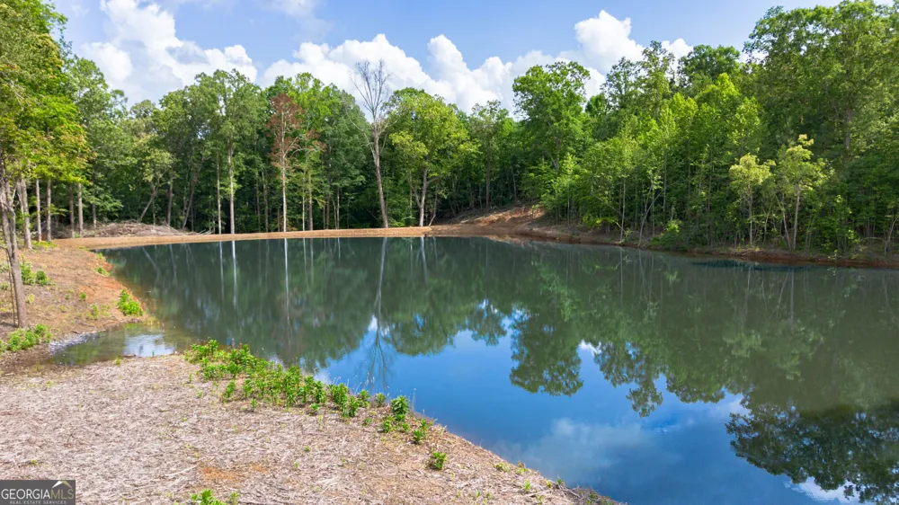 0 Vinyard Lot 1, 2, 4, 5, 6 Fruithurst, AL 36262