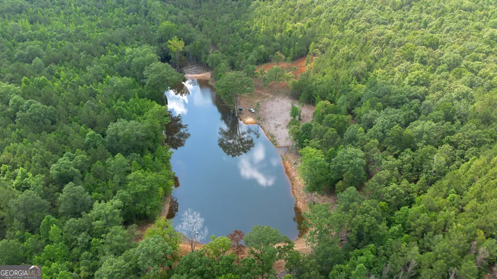 0 Vinyard Lot 1, 2, 4, 5, 6 Fruithurst, AL 36262