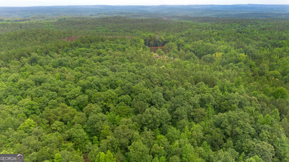0 Vinyard Lot 1, 2, 4, 5, 6 Fruithurst, AL 36262