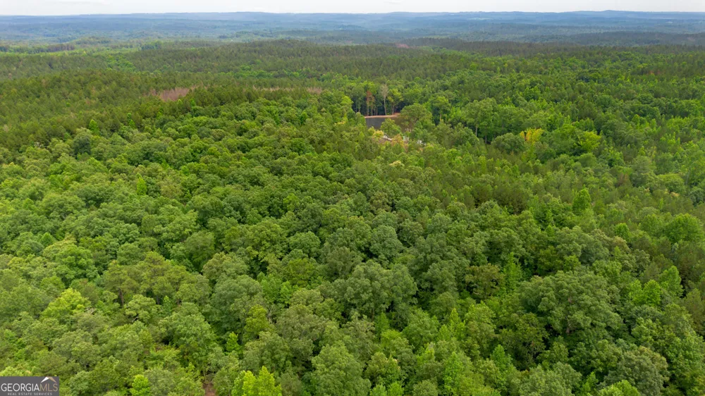0 Vinyard Lot 1, 2, 4, 5, 6 Fruithurst, AL 36262