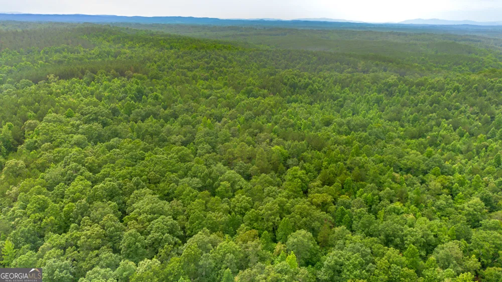 0 Vinyard Lot 1, 2, 4, 5, 6 Fruithurst, AL 36262