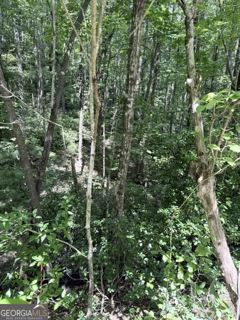 LOT 856 Larkspur LN