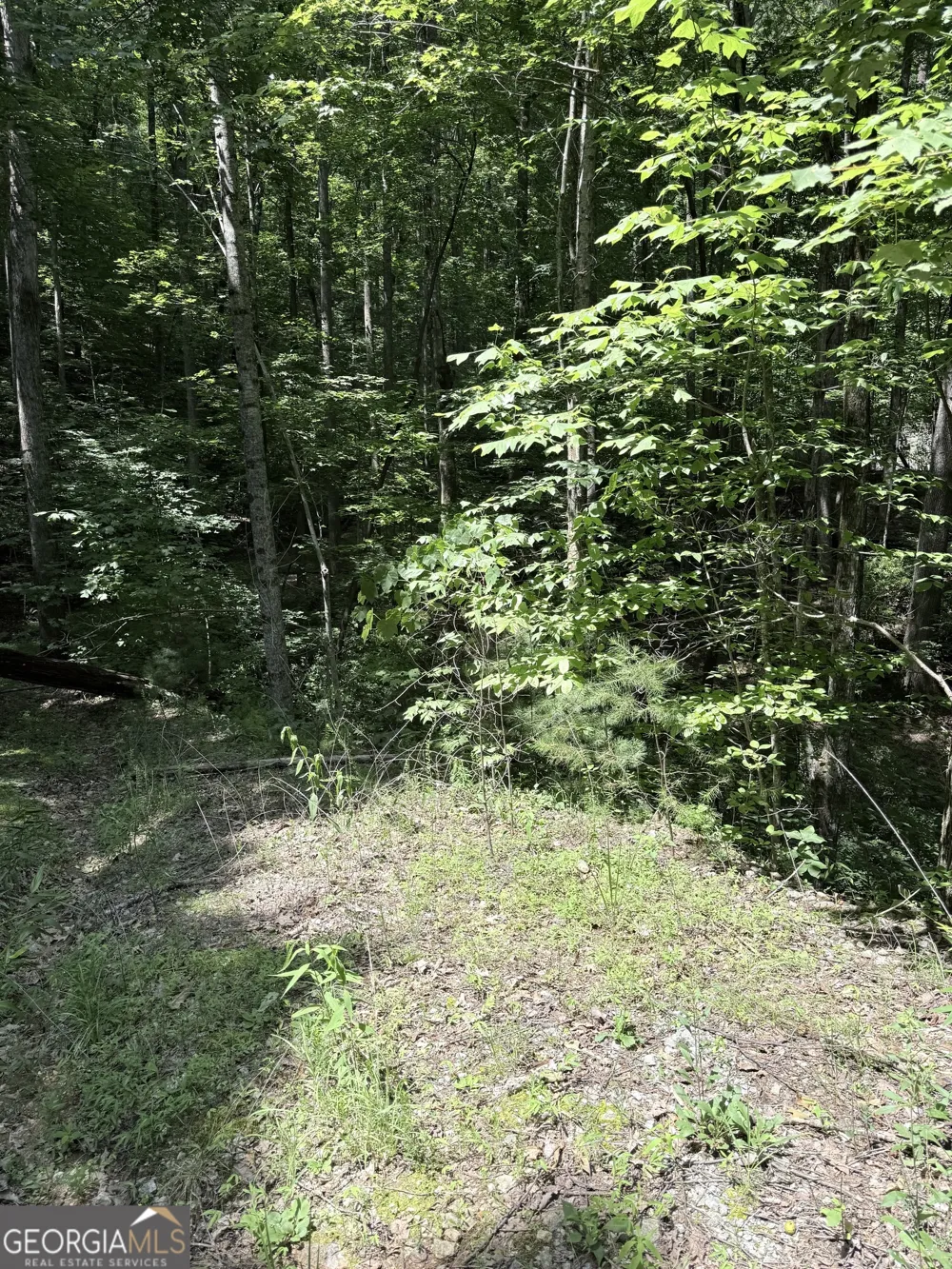 LOT 856 Larkspur LN Clayton, GA 30525