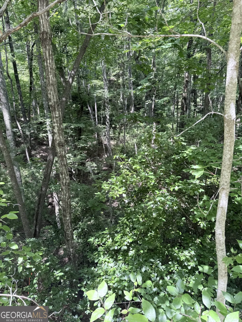 LOT 856 Larkspur LN Clayton, GA 30525