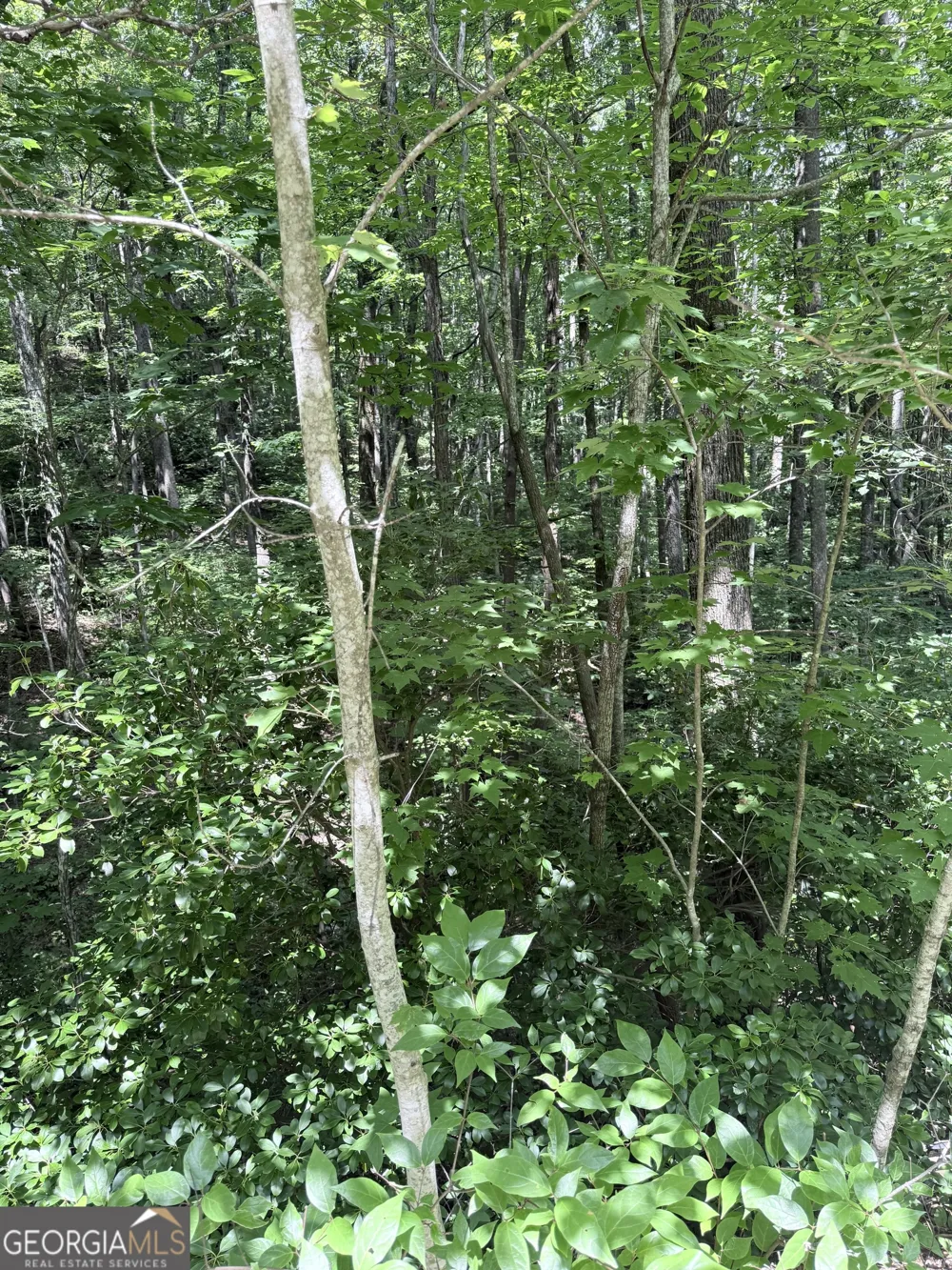 LOT 856 Larkspur LN Clayton, GA 30525