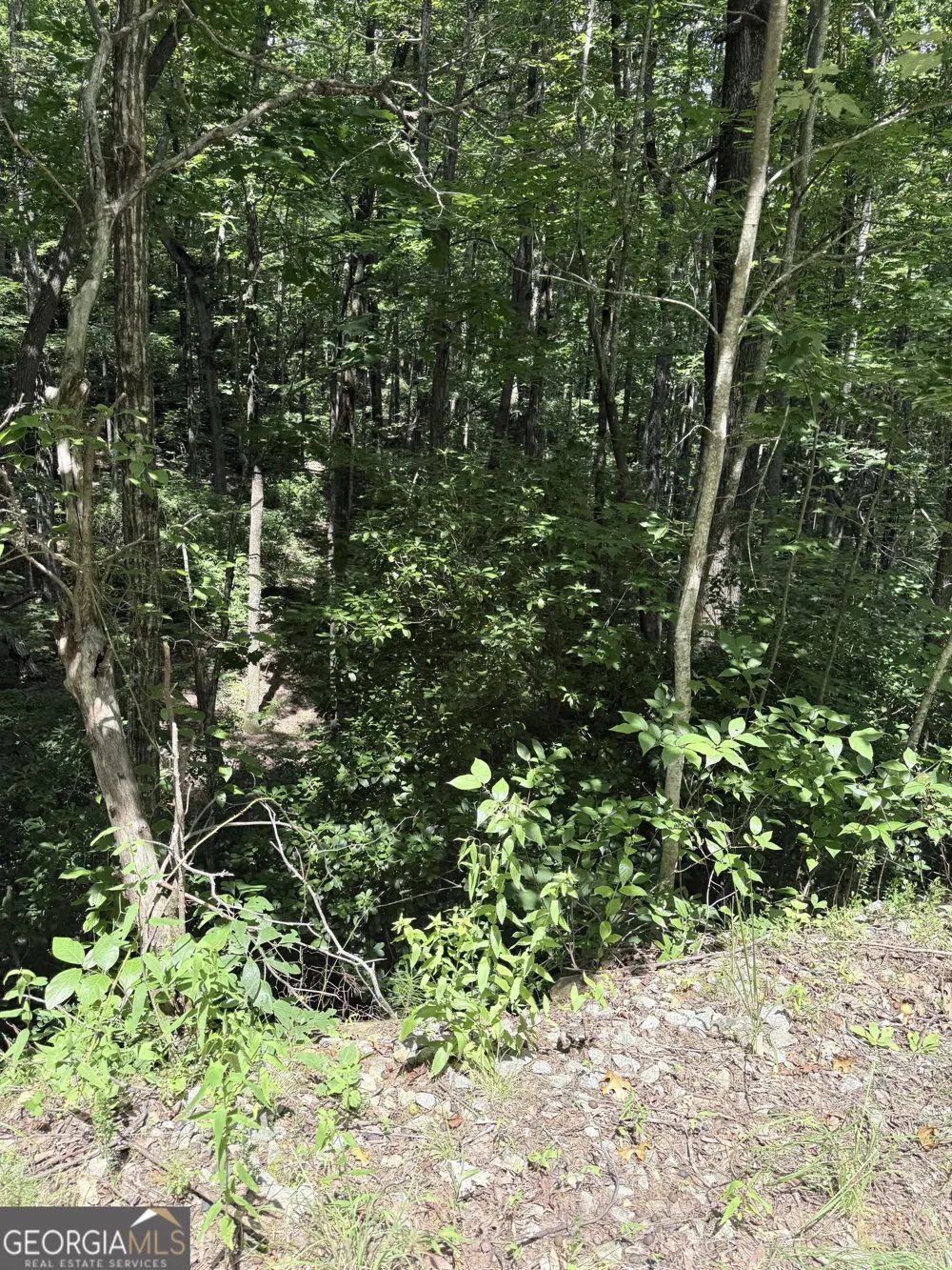 LOT 856 Larkspur LN Clayton, GA 30525