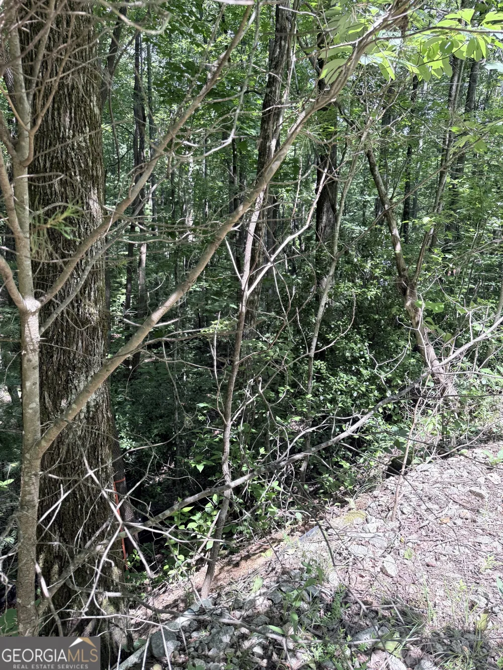 LOT 856 Larkspur LN Clayton, GA 30525