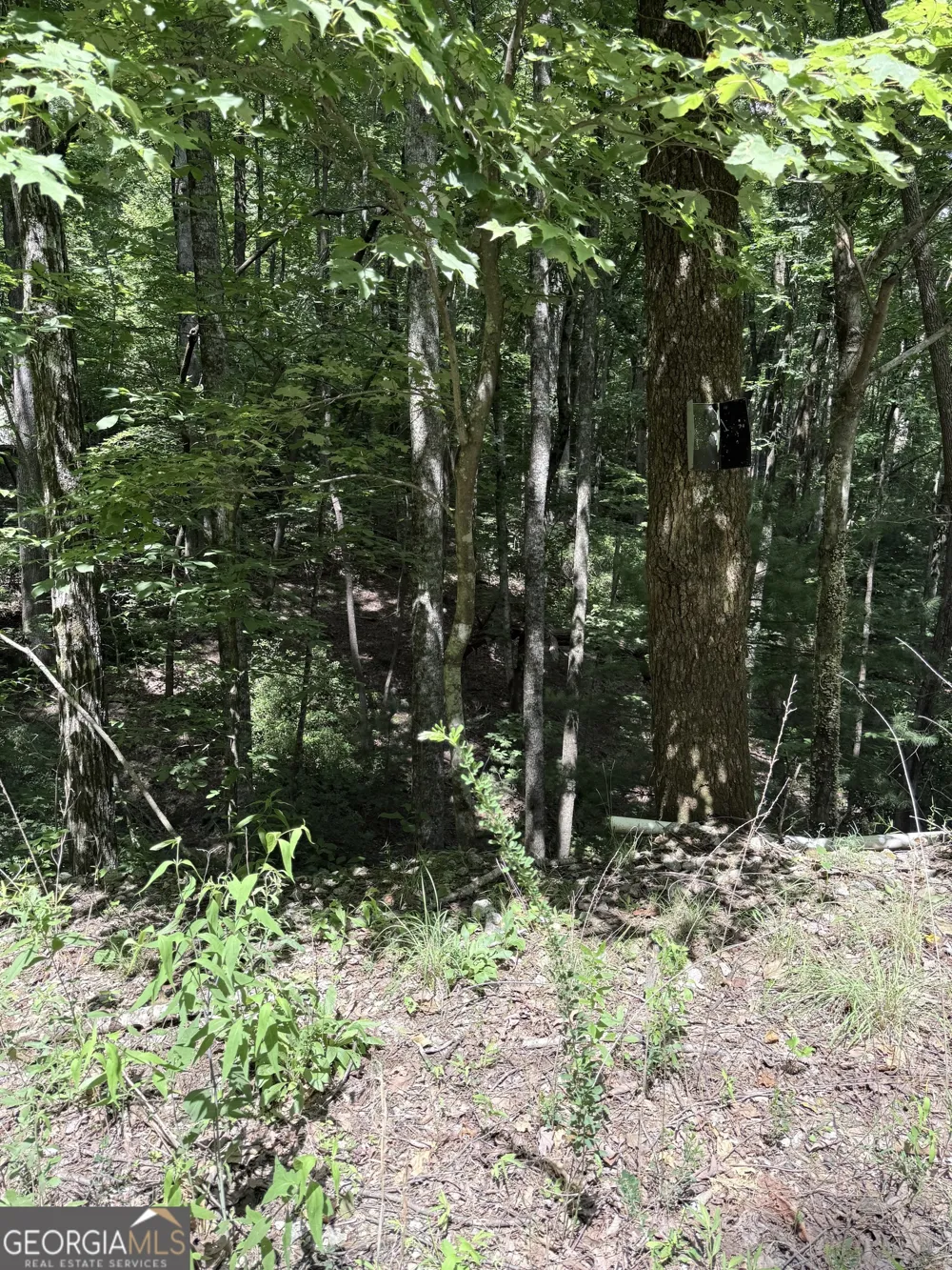 LOT 856 Larkspur LN Clayton, GA 30525