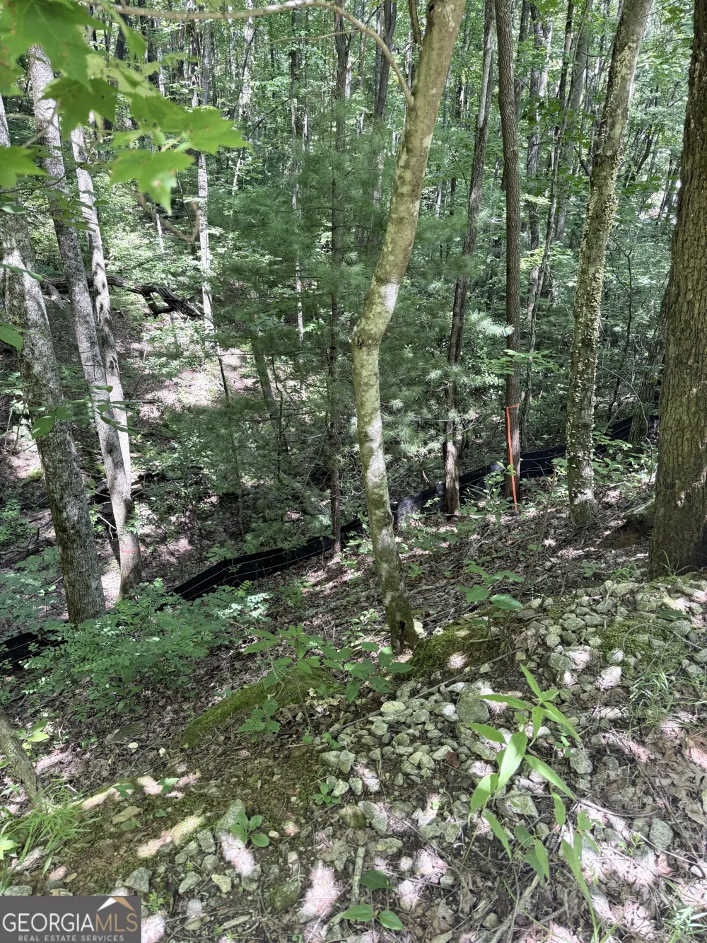 LOT 856 Larkspur LN Clayton, GA 30525