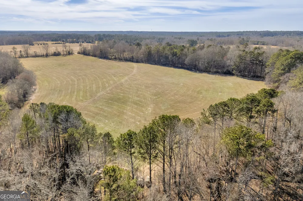 1681 Sibley School RD Greensboro, GA 30642