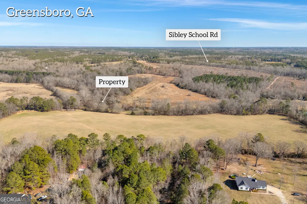 1681 Sibley School RD Greensboro, GA 30642