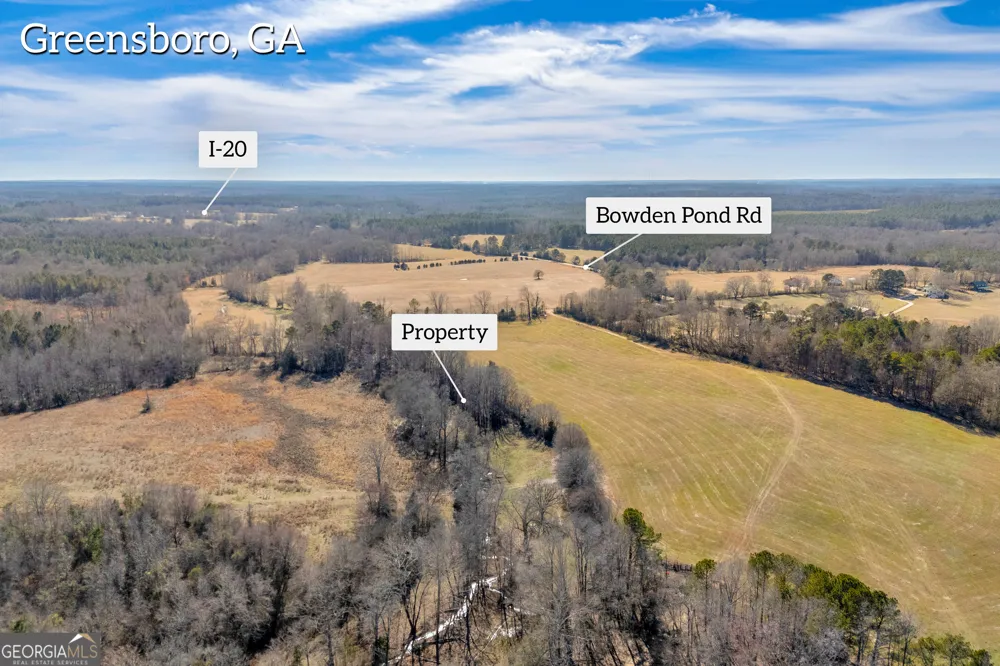 1681 Sibley School RD Greensboro, GA 30642