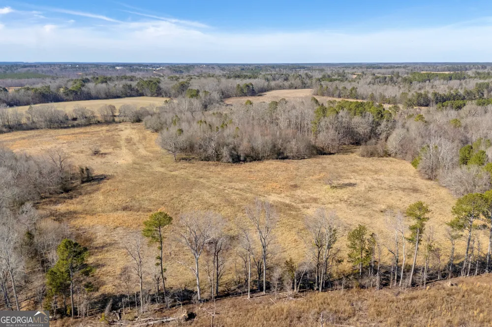1681 Sibley School RD Greensboro, GA 30642
