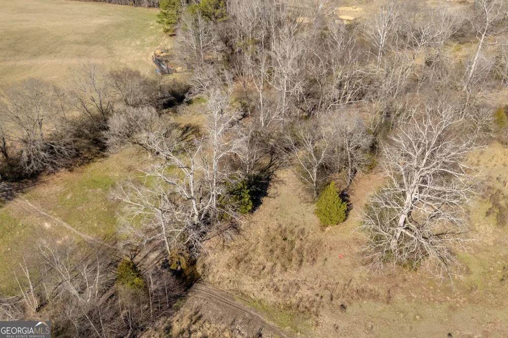 1681 Sibley School RD Greensboro, GA 30642