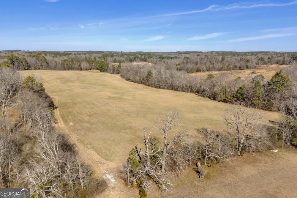 1681 Sibley School RD Greensboro, GA 30642