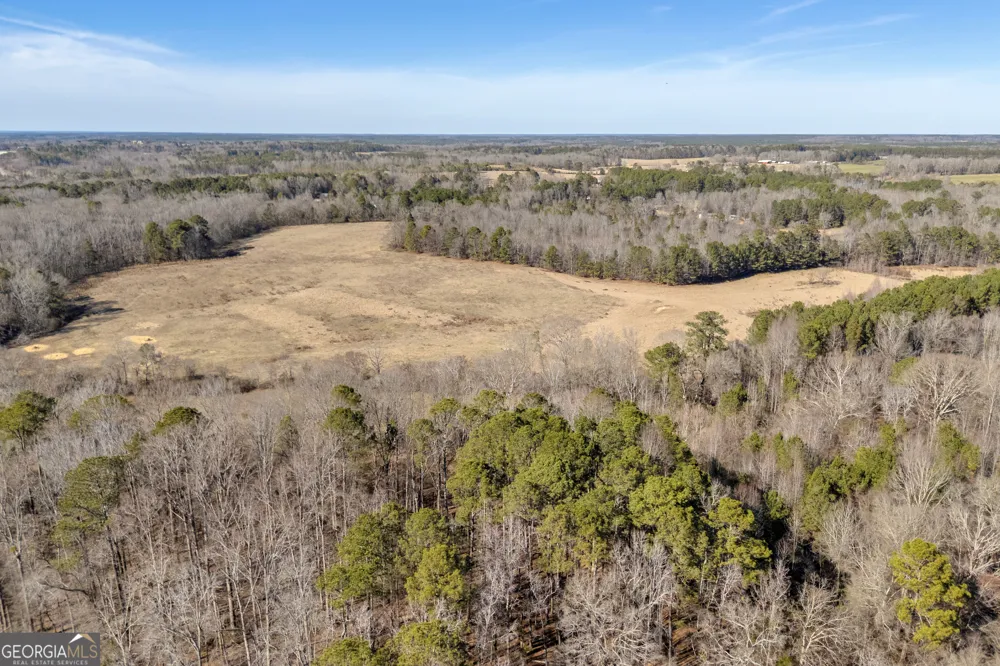 1681 Sibley School RD Greensboro, GA 30642