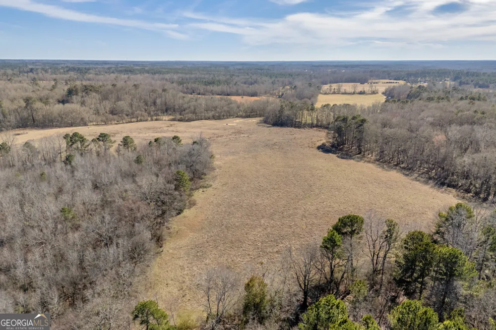 1681 Sibley School RD Greensboro, GA 30642