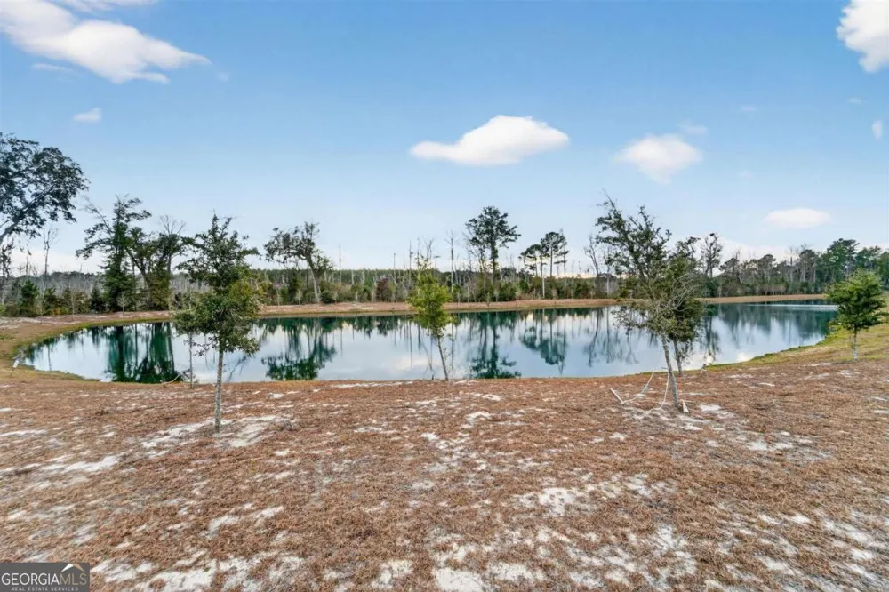 638 Logging Hill DR Richmond Hill, GA 31324