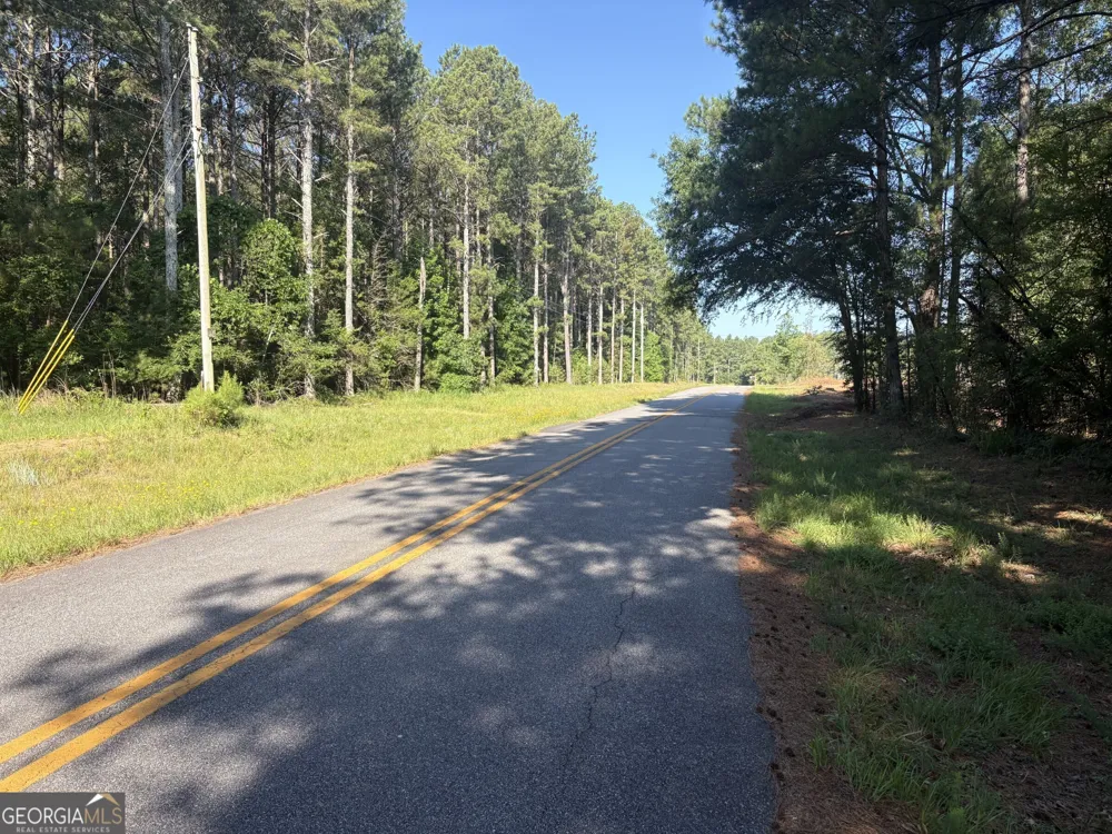 41 Elton Stewart RD Carlton, GA 30627