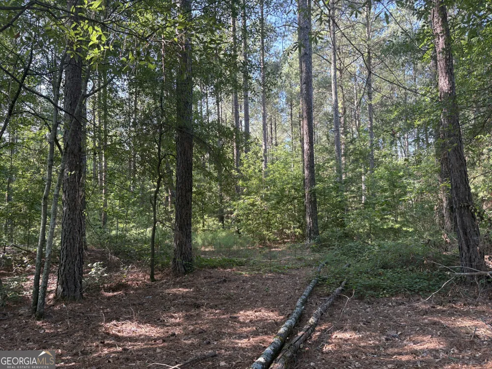 41 Elton Stewart RD Carlton, GA 30627