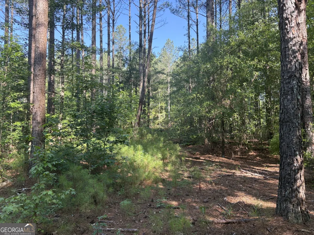 41 Elton Stewart RD Carlton, GA 30627