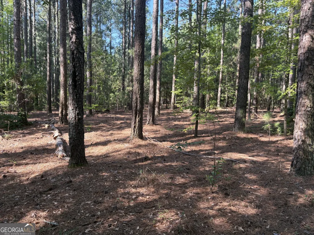 41 Elton Stewart RD Carlton, GA 30627