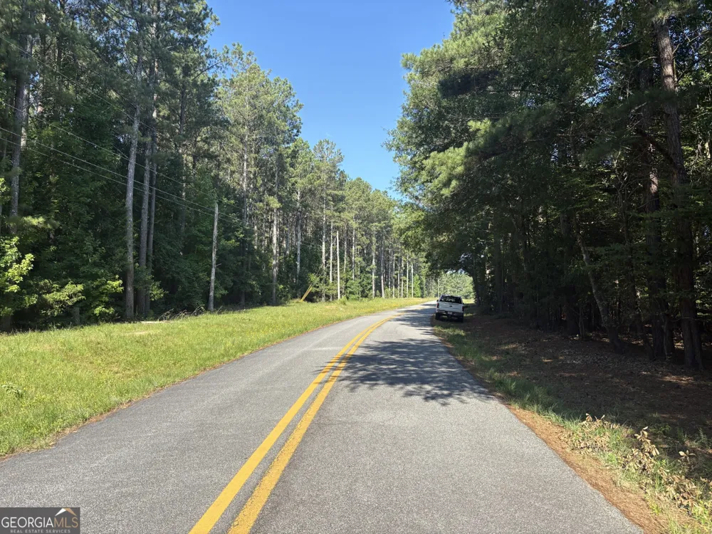 41 Elton Stewart RD Carlton, GA 30627