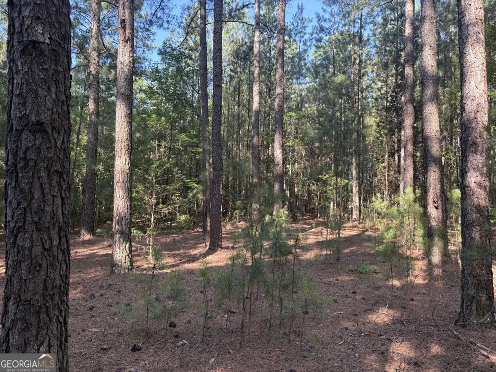 41 Elton Stewart RD Carlton, GA 30627