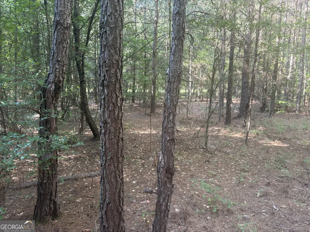 41 Elton Stewart RD Carlton, GA 30627