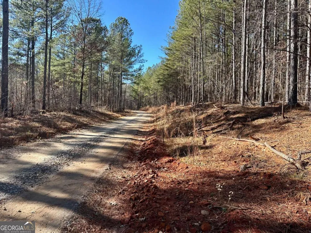 1107 Larmon Forks RD Dahlonega, GA 30533