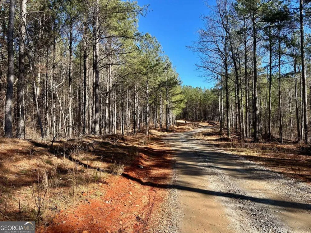 1107 Larmon Forks RD Dahlonega, GA 30533