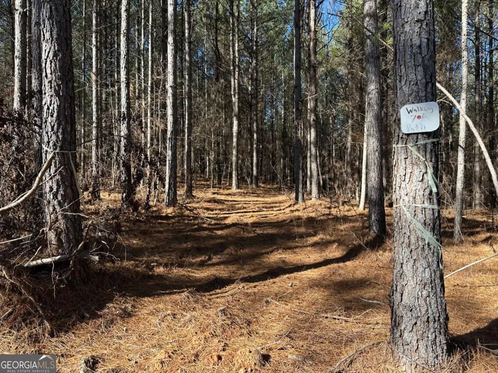 1107 Larmon Forks RD Dahlonega, GA 30533