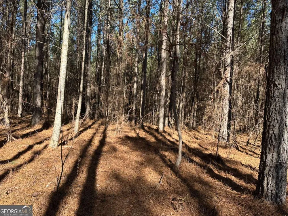 1107 Larmon Forks RD Dahlonega, GA 30533