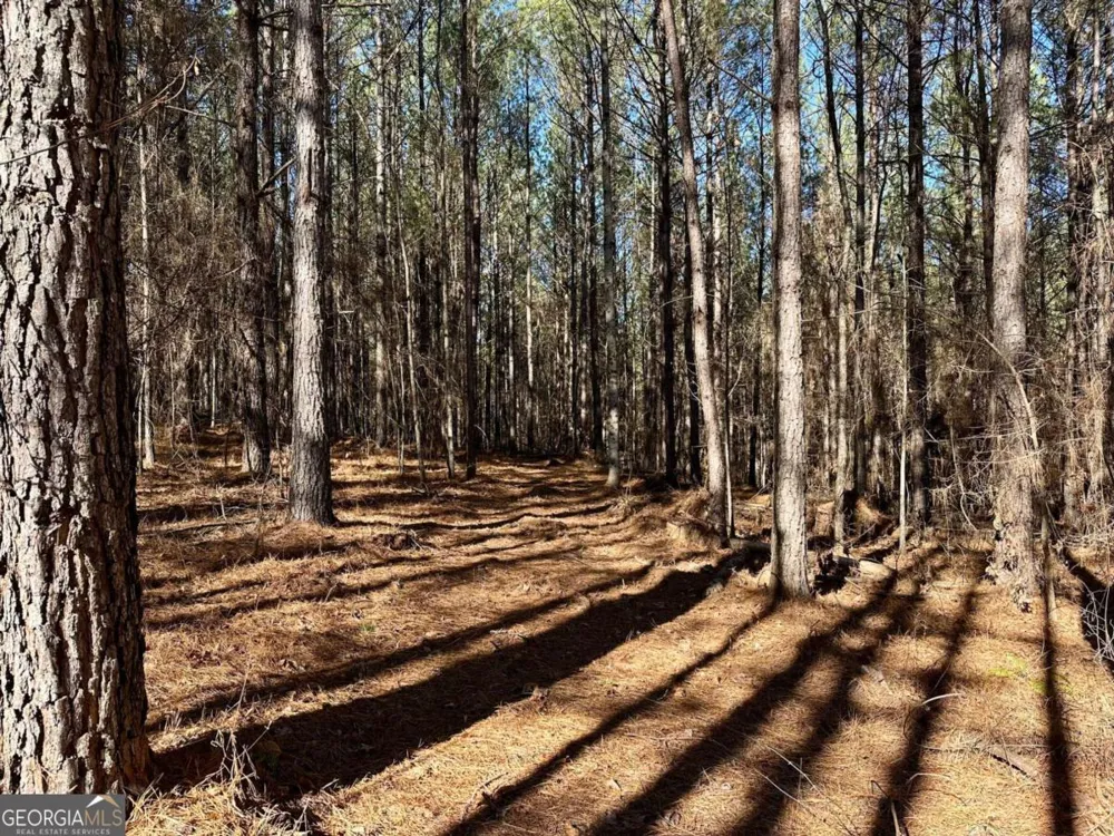 1107 Larmon Forks RD Dahlonega, GA 30533