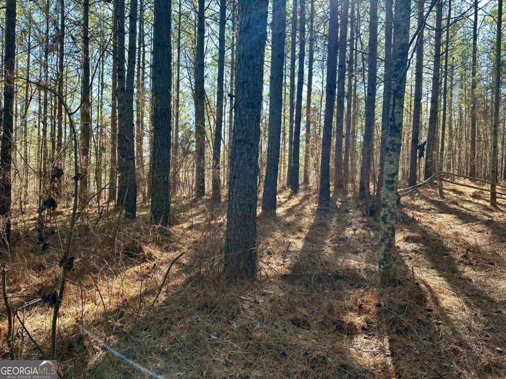 1107 Larmon Forks RD Dahlonega, GA 30533