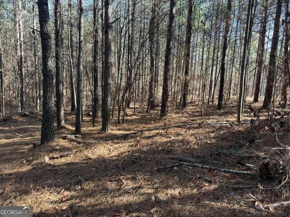 1107 Larmon Forks RD Dahlonega, GA 30533