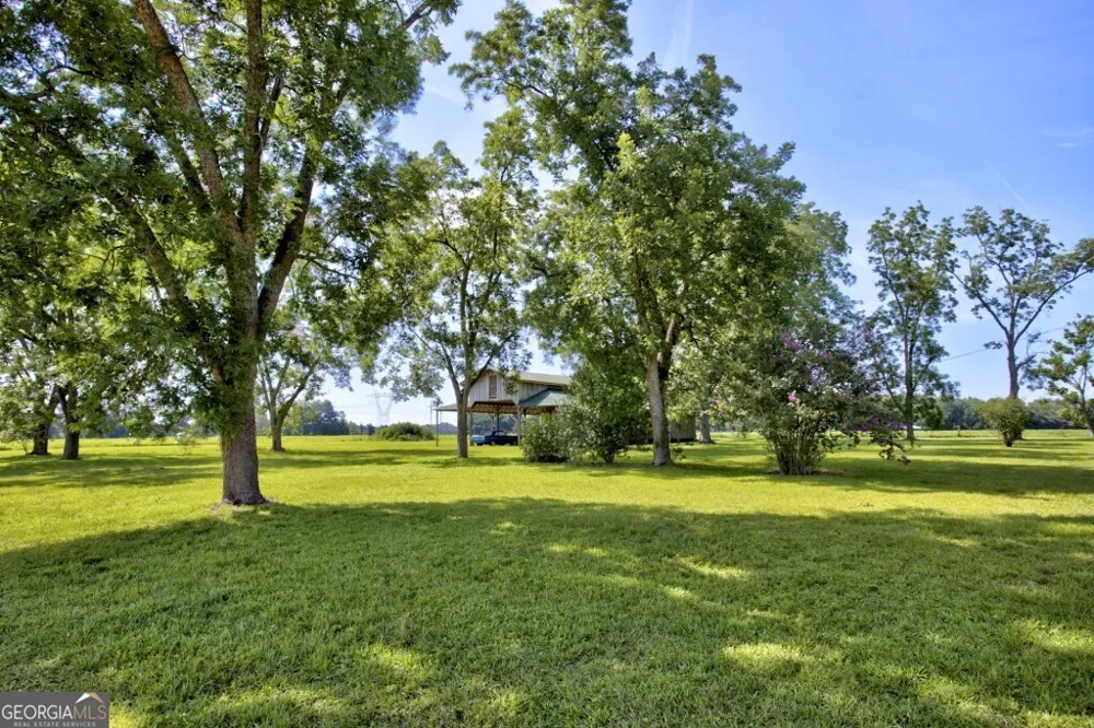 1034 Cecil Tyre RD Bristol, GA 31518