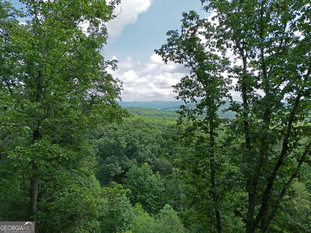 LOT 71 Chicory DR W Blairsville, GA 30512