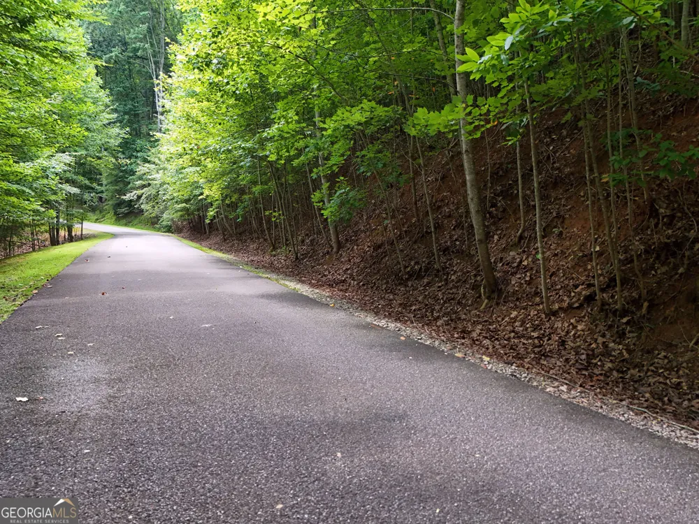 LOT 71 Chicory DR W Blairsville, GA 30512