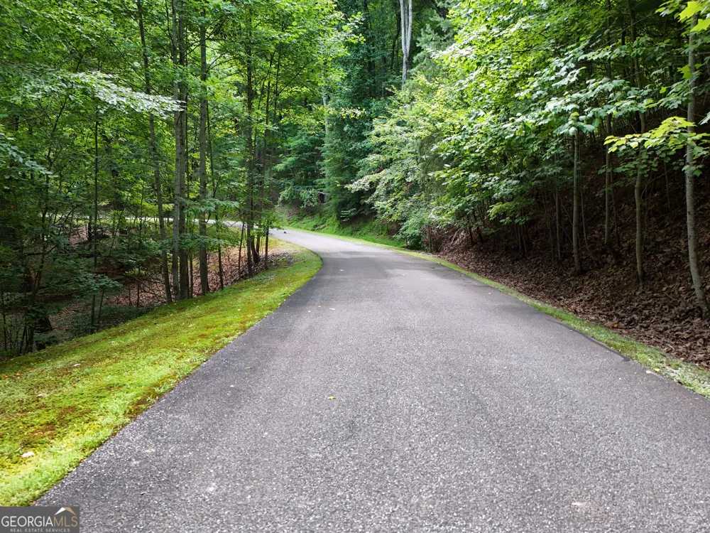 LOT 71 Chicory DR W Blairsville, GA 30512