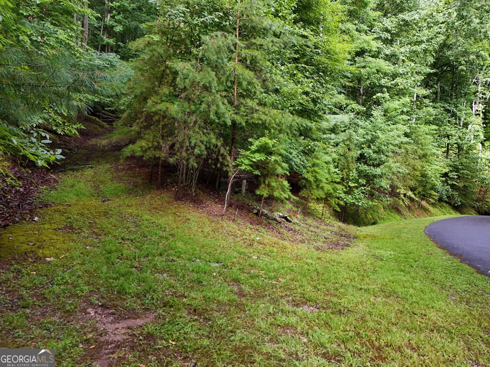 LOT 71 Chicory DR W Blairsville, GA 30512