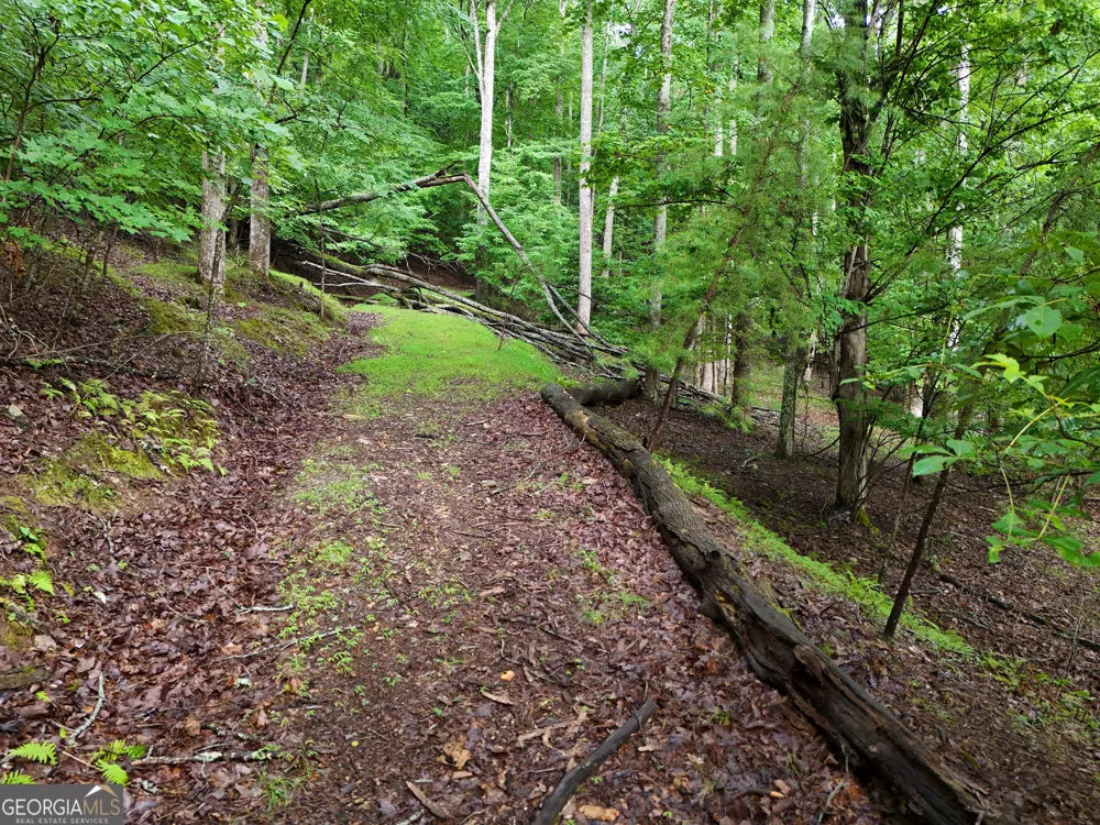 LOT 71 Chicory DR W Blairsville, GA 30512