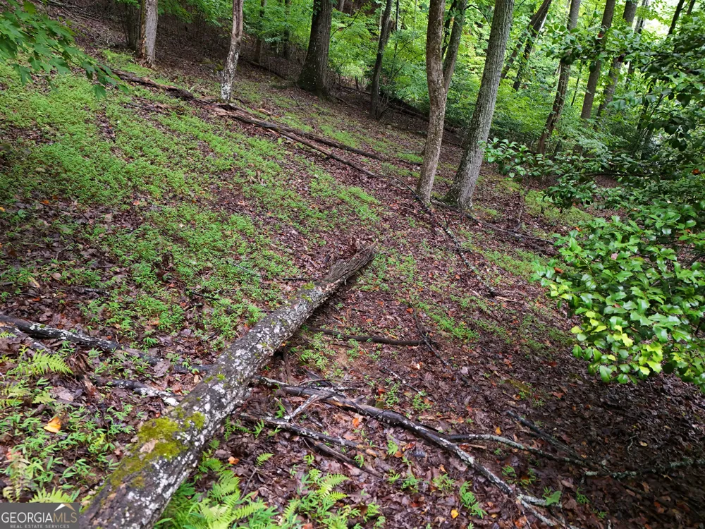 LOT 71 Chicory DR W Blairsville, GA 30512
